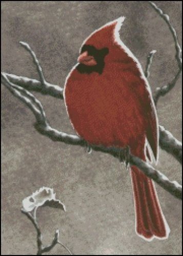 (image for) Cardinal